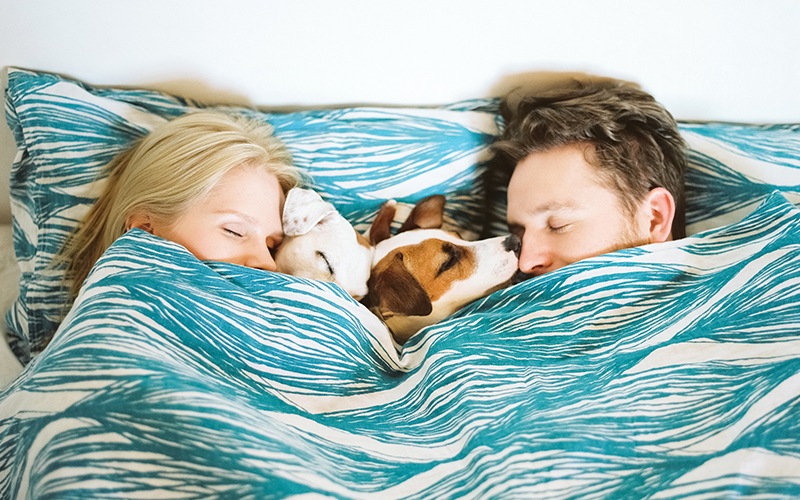 Couple lying in bed with their dog 