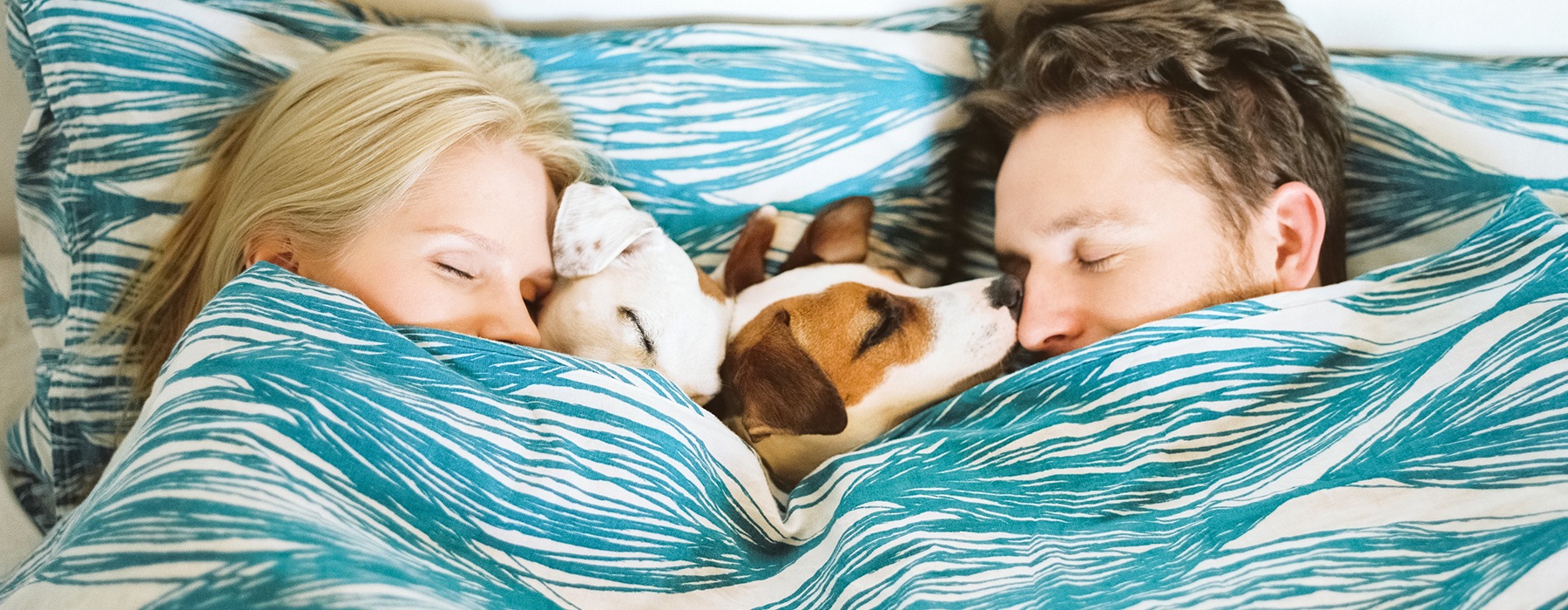 Couple laying in their bed with their dog 