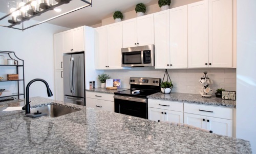 Kitchen Open kitchen and living room with plenty of natural light.